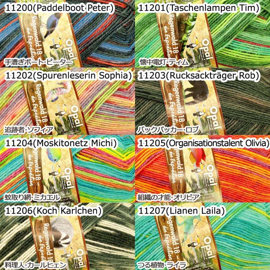 完売終了】1玉単位 Opal毛糸 Regenwald 18 4-fach 中細タイプ レーゲン