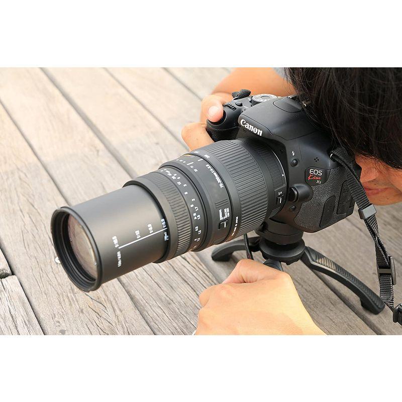 注目のブランド 〓ソニー用望遠レンズ〓シグマ 70-300mm F4-5.6 DG