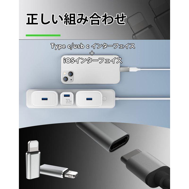 保証書付】 タイプC(USB C)からIOS変換コネクタ充電 データ伝送 アルミニウム合金 変換アダプタ ミニサイズ2個セット(シルバー) USB AC アダプター