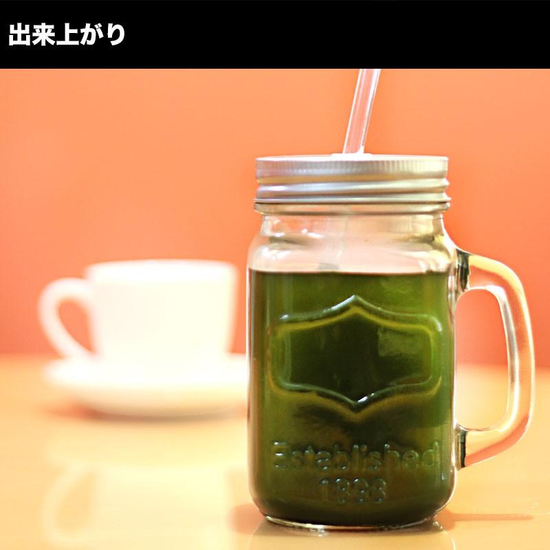 デリッシュオーガニック マルベリーリーフ（Delish Organics Mulberry leaf）顆粒タイプ （60包） |  | 02