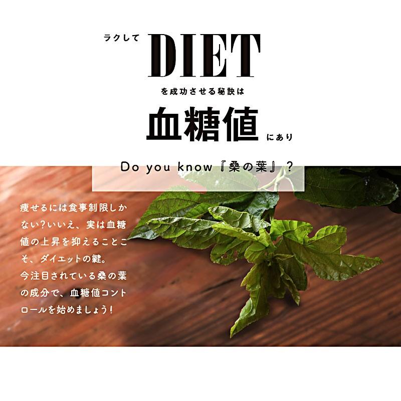 デリッシュオーガニック マルベリーリーフ（Delish Organics Mulberry leaf）顆粒タイプ （10包） |  | 04