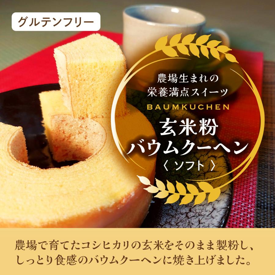 送料無料 青木農場 新潟 グルテンフリー コシヒカリ 玄米粉 バウムクーヘン NIIGATAひかりBAUM3個セット（ソフト・ハード・黒埼茶豆） 化粧箱付 |  | 02