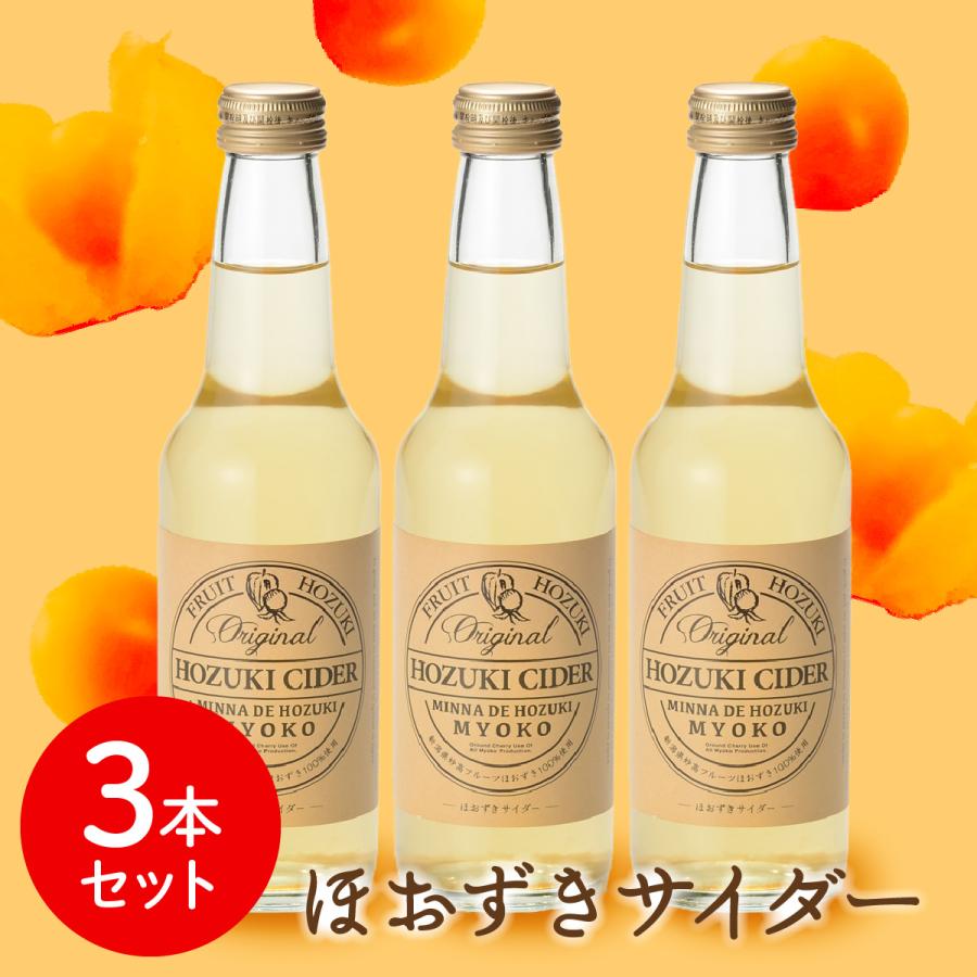 新春初売りセール実施中！送料無料 新潟 妙高 フルーツほおずき アサップ ほおずきサイダー３本セット 新潟県妙高市 スーパーフード 食用ほおずき 果実 | 