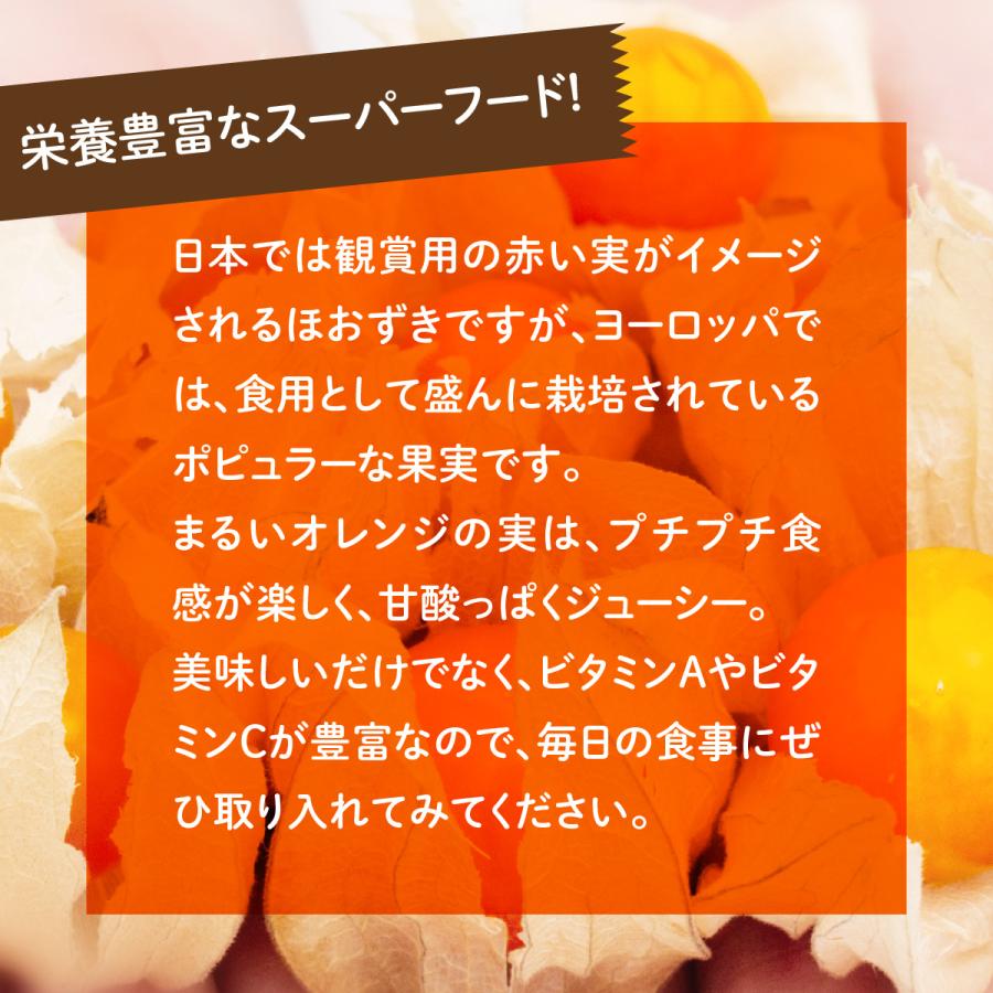 送料無料 新潟 妙高 フルーツほおずき アサップ ほおずきサイダー３本セット 新潟県妙高市 スーパーフード 食用ほおずき 果実｜facesign｜04