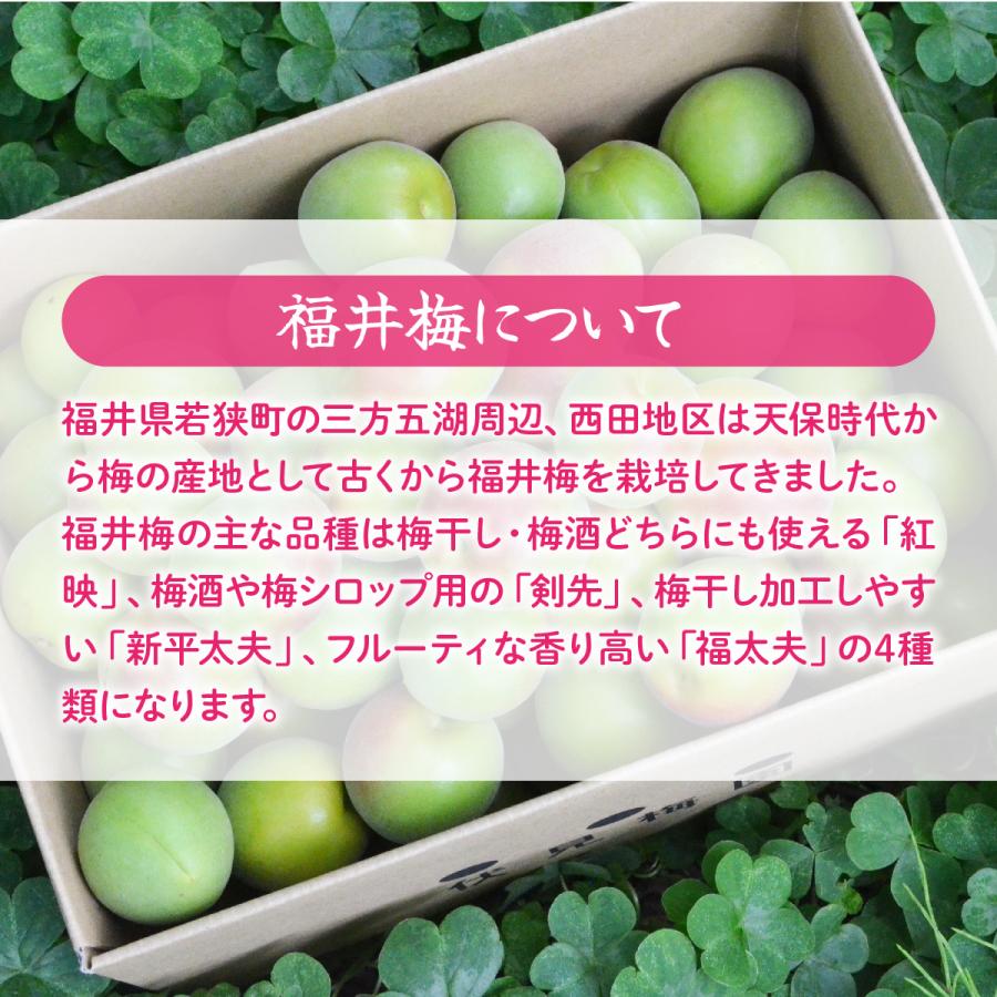 送料無料 やわらかい食感のすっぱい梅干し 伏見梅園の完熟梅 梅干し白干し200g×1個 梅 梅干し 福井県 若狭町 福井梅 |  | 02