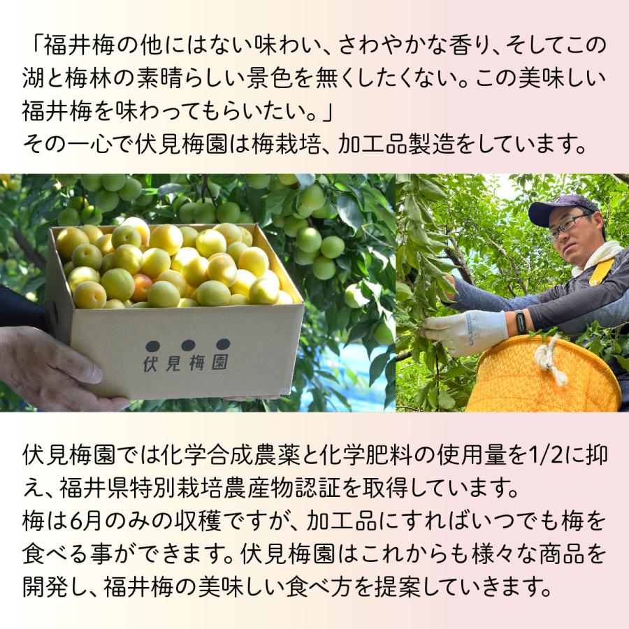 送料無料 やわらかい食感のすっぱい梅干し 伏見梅園の完熟梅 梅干し白干し200g×1個 梅 梅干し 福井県 若狭町 福井梅 |  | 03