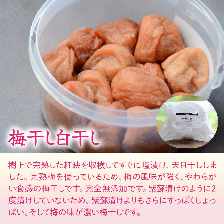 送料無料 やわらかい食感のすっぱい梅干し 伏見梅園の完熟梅 梅干し白干し200g×2個 梅 梅干し 福井県 若狭町 福井梅 |  | 01