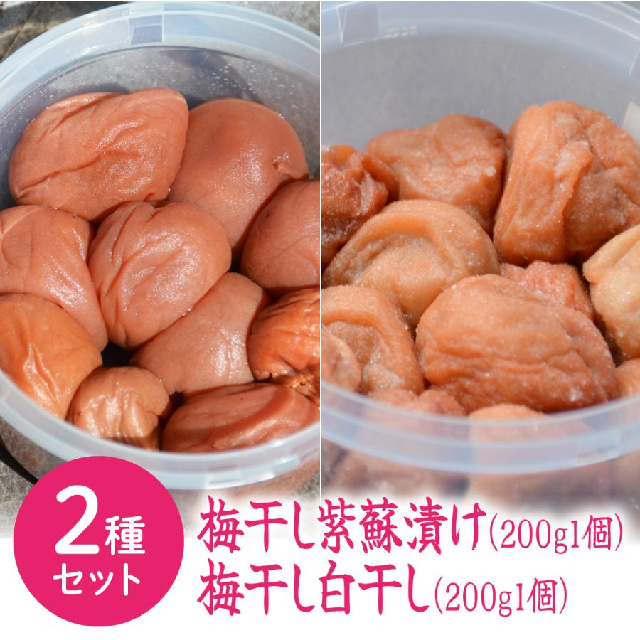 送料無料 やわらかい食感のすっぱい梅干し 伏見梅園の完熟梅 梅干し 紫蘇漬け200g×1個 白干し200g×1個 合計400ｇ | 