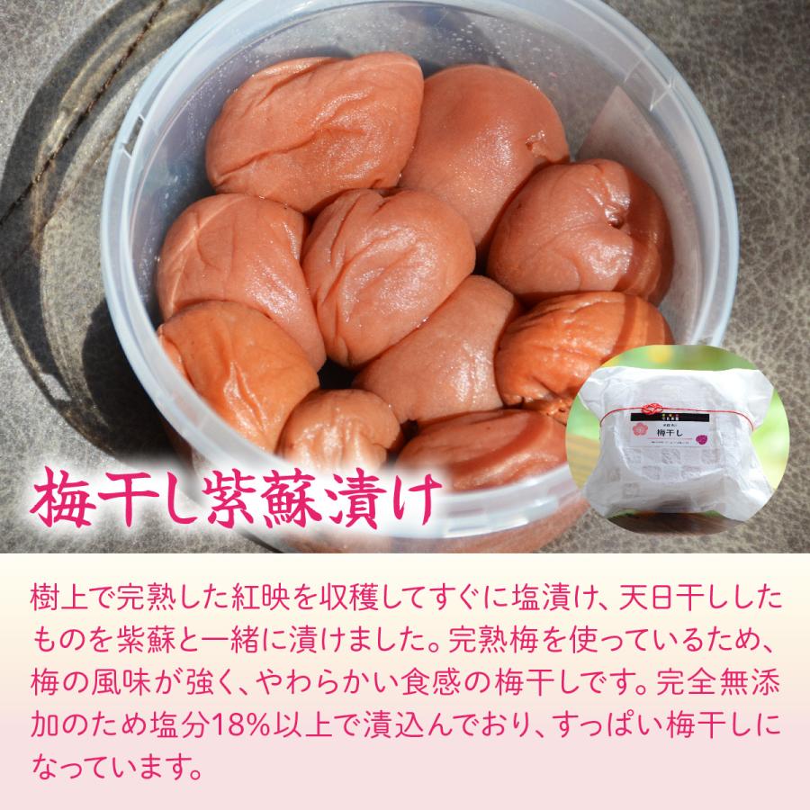 送料無料 やわらかい食感のすっぱい梅干し 伏見梅園の完熟梅 梅干し 紫蘇漬け200g×1個 白干し200g×1個 合計400ｇ |  | 02