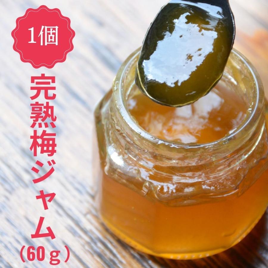 送料無料 梅ジャム 伏見梅園の完熟梅 完熟梅ジャム 60g 福井県若狭町 福井梅 | 