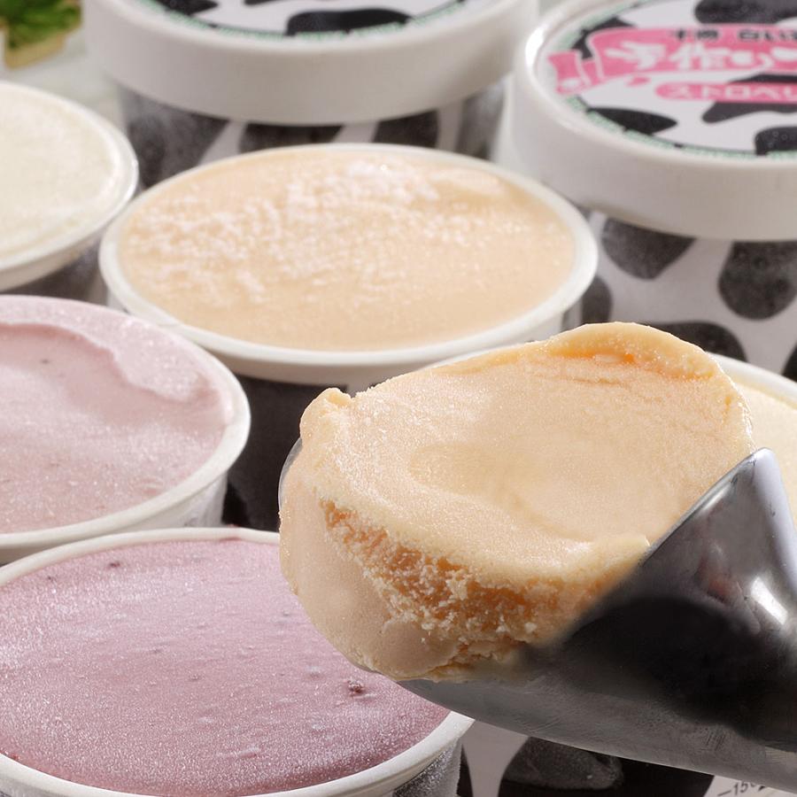 北海道 十勝白い牧場アイス 80ml 15個 バニラビーンズ ハスカップ クリームチーズ ストロベリー 赤肉メロン 各3個 Gourm フェイスサイン 通販 Yahoo ショッピング