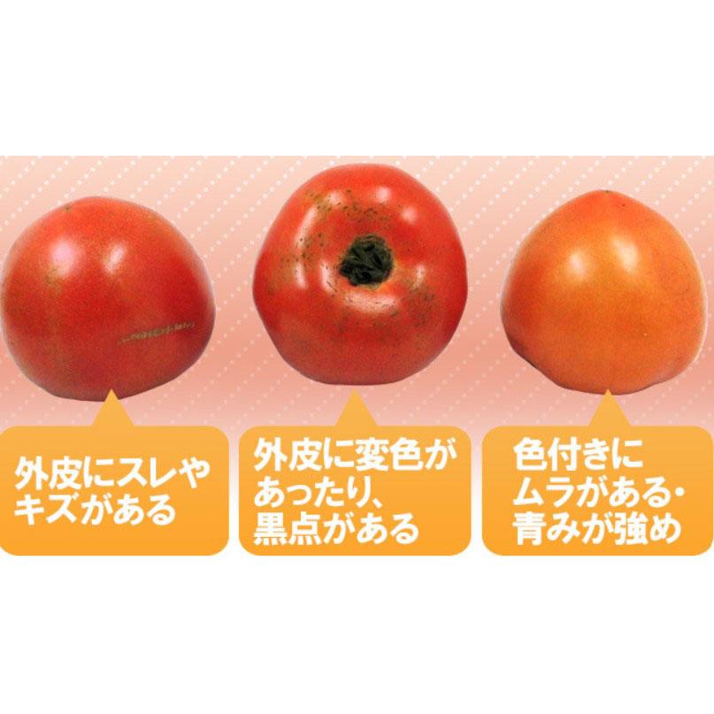 ○日本正規品○ トマト 約4kg 大きさ 産地お任せ megjc.gov.jm ○日本正規品○ トマト 約4kg 大きさ 産地お任せ megjc.gov.jm