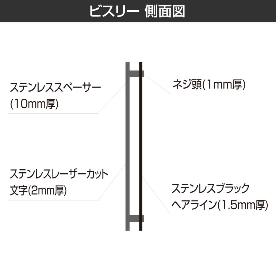 ホームサイン 表札 ステンレス 戸建 切文字 レーザー シンプル  ホームサイン 色違いの金属素材が織り成す表札 ビスリー |  | 03