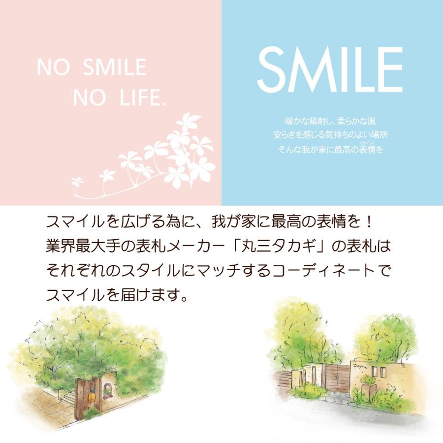 丸三タカギ 表札 おしゃれ 送料無料 ステンレス 戸建 かわいい おすすめ ドライエッチング 丸三タカギ 女流書家専用表札 匠 |  | 05