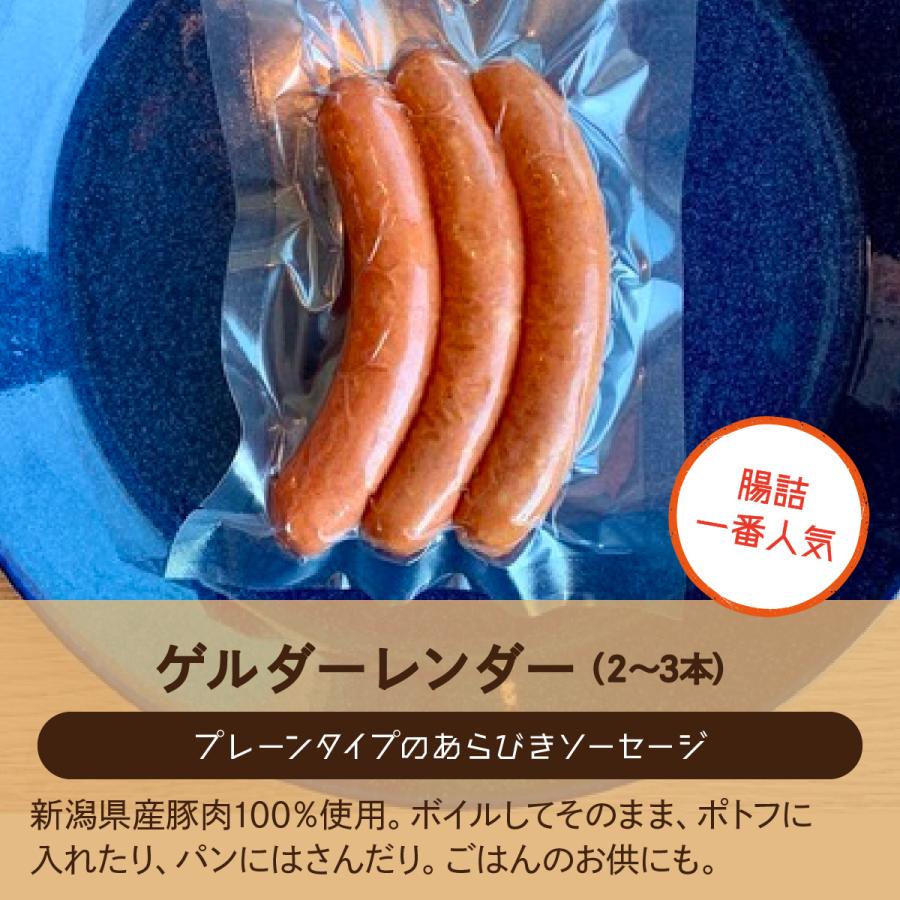 送料無料 新潟の自家製ドイツハムソーセージ専門店 メッツゲライ テラ セレクトファイブ（人気5種詰め合わせ） 新潟ローストポーク ベーコン |  | 03