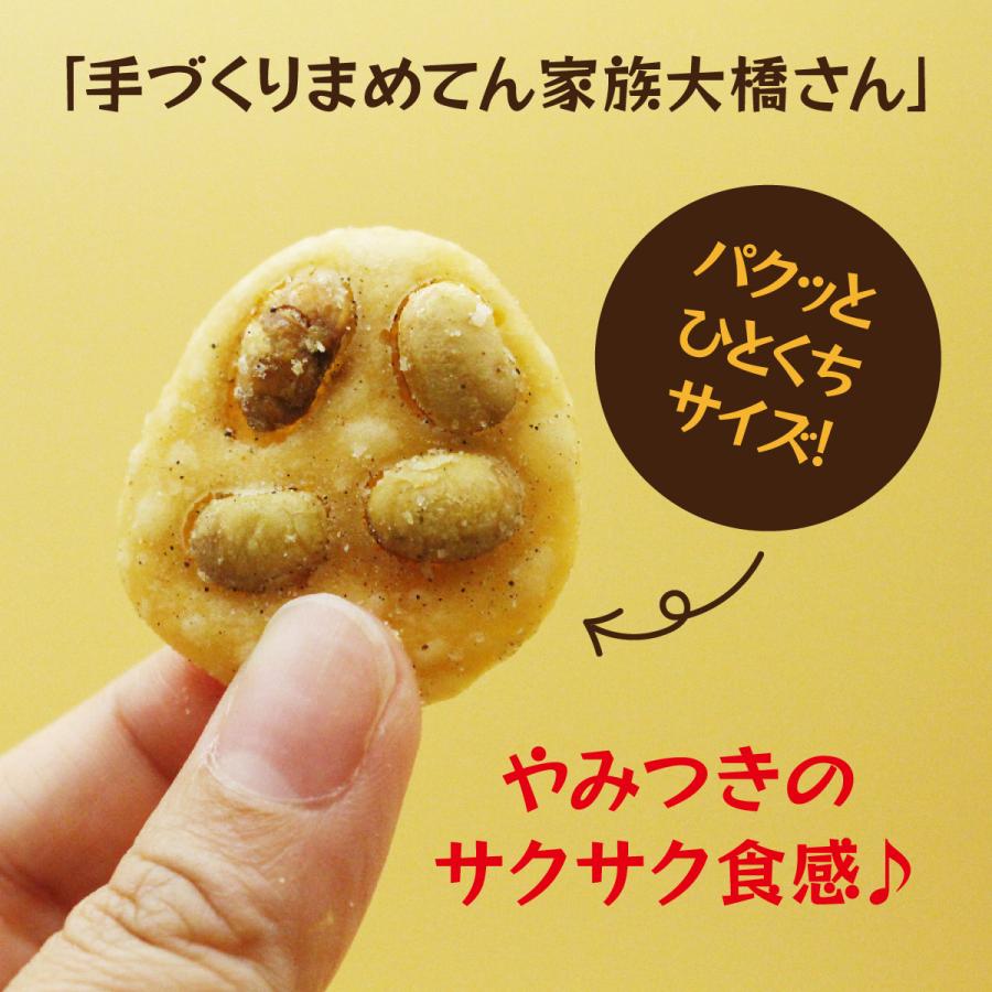 送料無料 新潟産大豆 新潟名物 パリパリの揚げせん 手作り まめてん家族大橋さん 7種類から選べる7袋セット 豆天 平袋 |  | 03