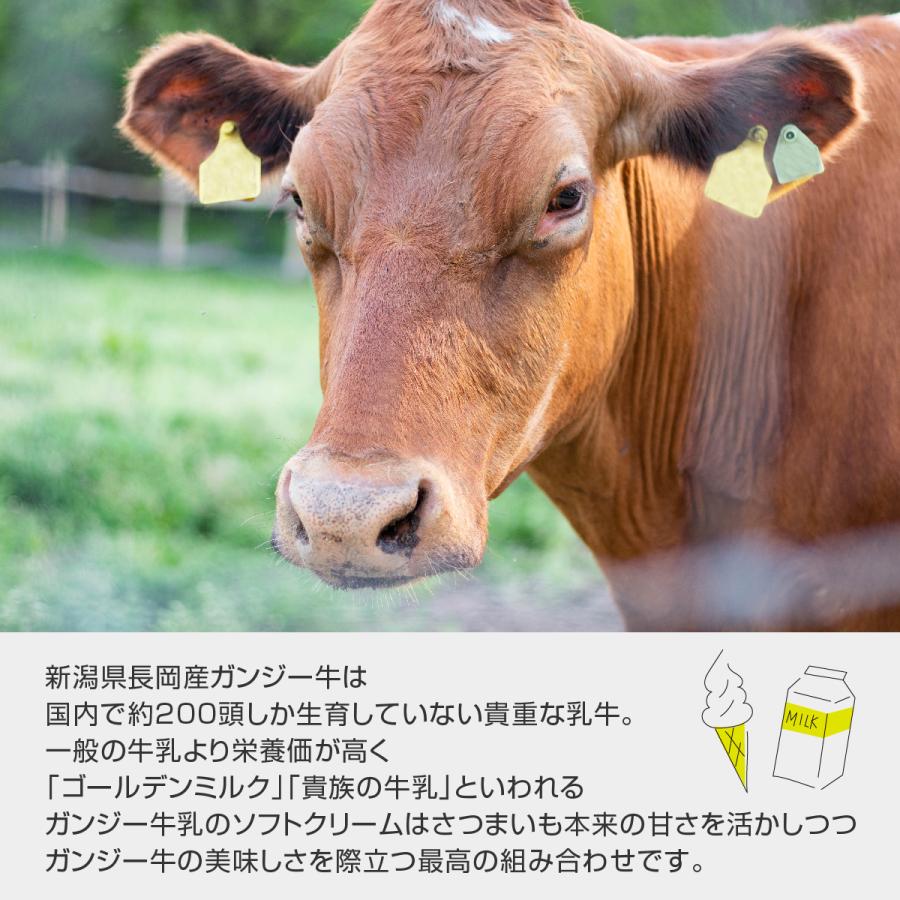 送料無料 マツコの知らない世界でも紹介！ 焼き芋ソフトクリーム イモぽんソフト4個セット ソフトクリーム ガンジー牛乳 新潟県産 さつまいも やきいも |  | 04