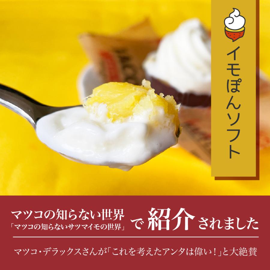 送料無料 マツコの知らない世界でも紹介！ 焼き芋ソフトクリーム イモ