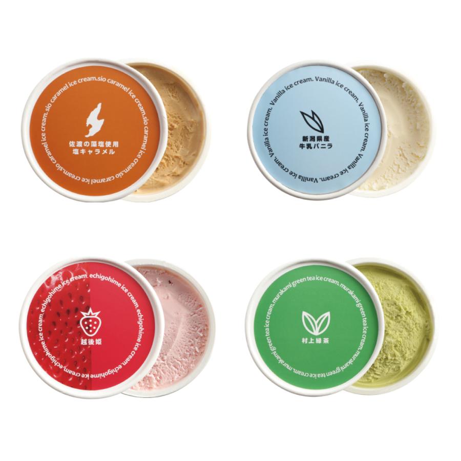 新春初売りセール実施中！送料無料 佐渡藻塩キャラメルアイス 村上緑茶アイス 越後姫アイス 新潟県産牛乳バニラ 新潟ご当地アイスバラエティ8個セット |  | 02