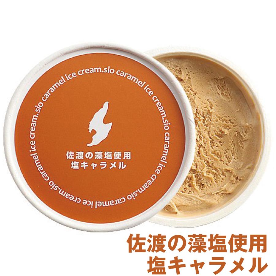 新春初売りセール実施中！送料無料 新潟県 セイヒョー 佐渡藻塩 キャラメル 村上緑茶 越後姫 新潟県産牛乳バニラ ルレクチェ 新潟バラエティアイス 12個セット |  | 01