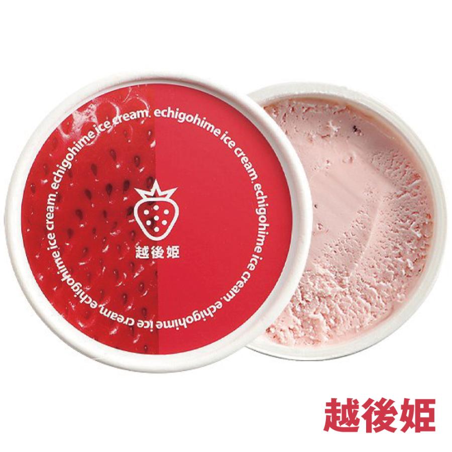 新春初売りセール実施中！送料無料 新潟県 セイヒョー 佐渡藻塩 キャラメル 村上緑茶 越後姫 新潟県産牛乳バニラ ルレクチェ 新潟バラエティアイス 12個セット |  | 02