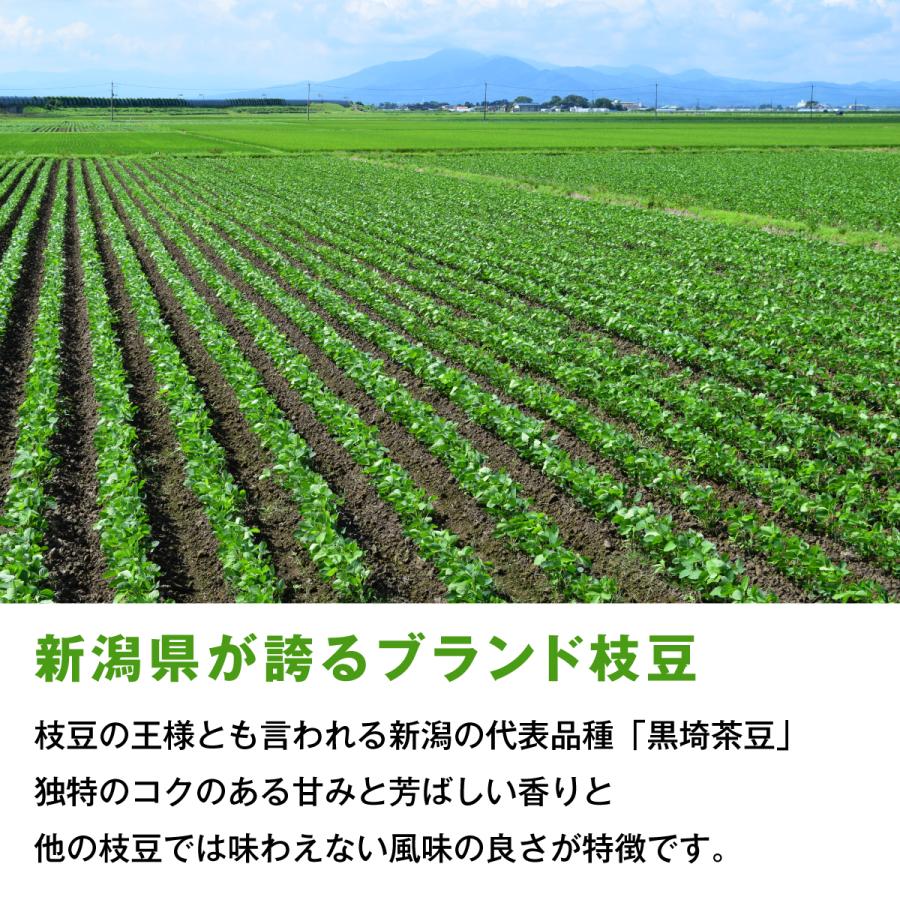 2024年収穫分 送料無料 大人気！新潟のブランド枝豆 黒埼茶豆 冷凍