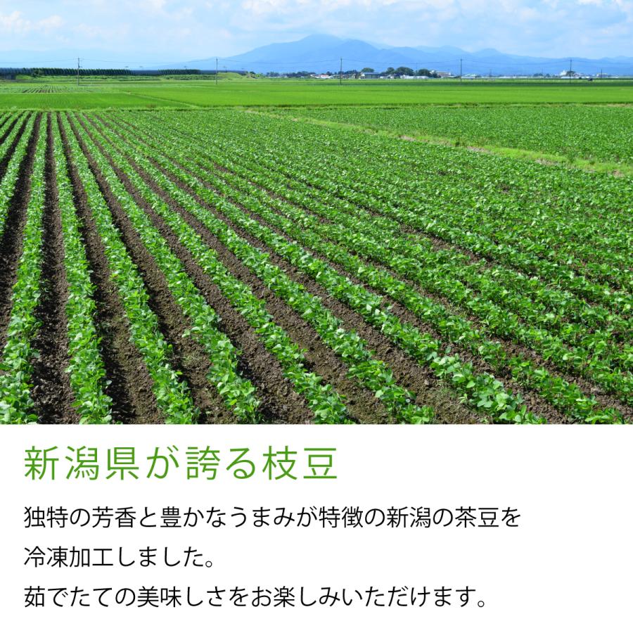 大人気！新潟県産枝豆 新潟の茶豆 冷凍 200g×5袋 茶豆 新潟 枝豆 えだまめ セイヒョー |  | 04