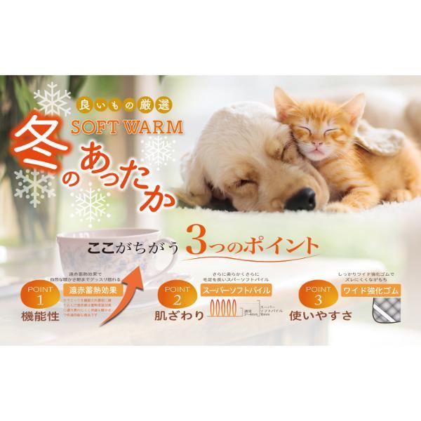 SOFT WARM  あったか遠赤ソフト敷パット  6440 内祝 香典返し 引出物 |  | 01