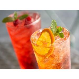 トラーニ フレーバーシロップ ブルーベリー 750ml | ブランド登録なし | 02