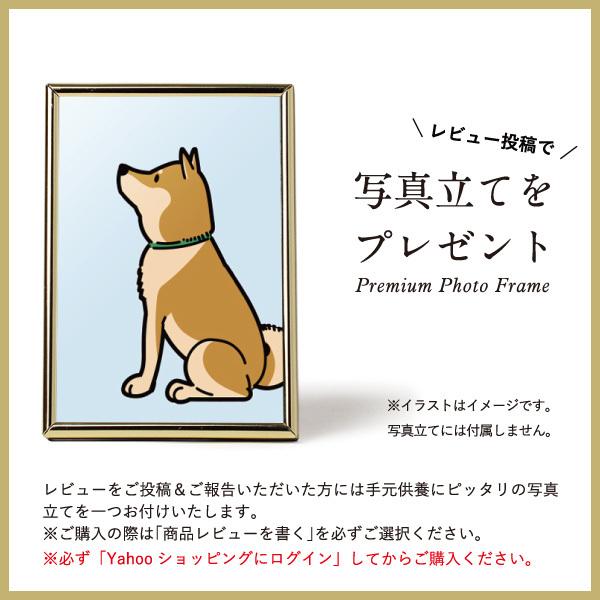 ペット仏壇 本体のみ エンジェル for Pets ペット 仏壇 お供え ペットグッズ ペット供養 犬 猫 うさぎ ミニ仏壇 敷板 プレート 供養台 飾り台 国産 日本製_5