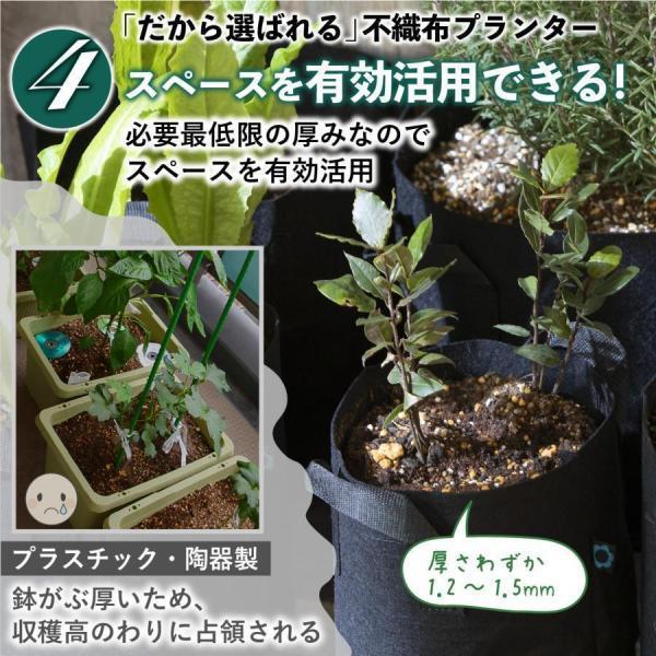 不織布ポット 34ガロン５個 不織布プランター 60x45 20号 植木鉢 大型 フェルトプランター 軽い 軽量 深鉢 フェルト 布鉢 黒｜factoryyustore｜10