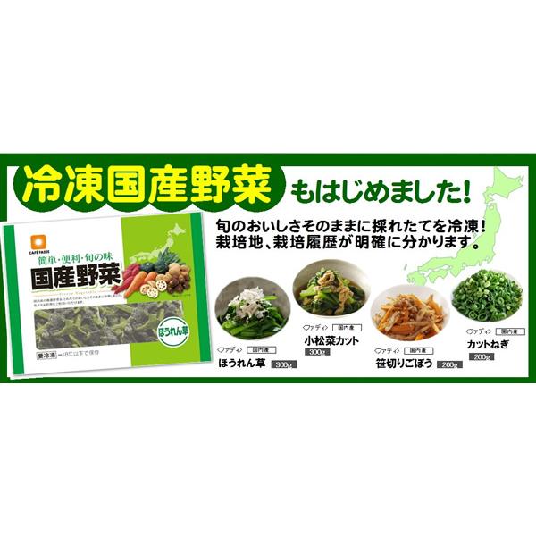 ごぼう 冷凍 国産野菜 笹切り ゴボウ 200g 九州産 アク抜き済 冷凍野菜 冷凍食品 ファディ | FADIE | 01