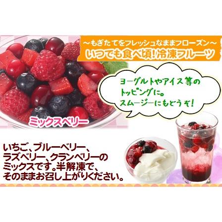 nosui ミックスベリー 冷凍 VeryBerry 500g イチゴ いちご 冷凍食品