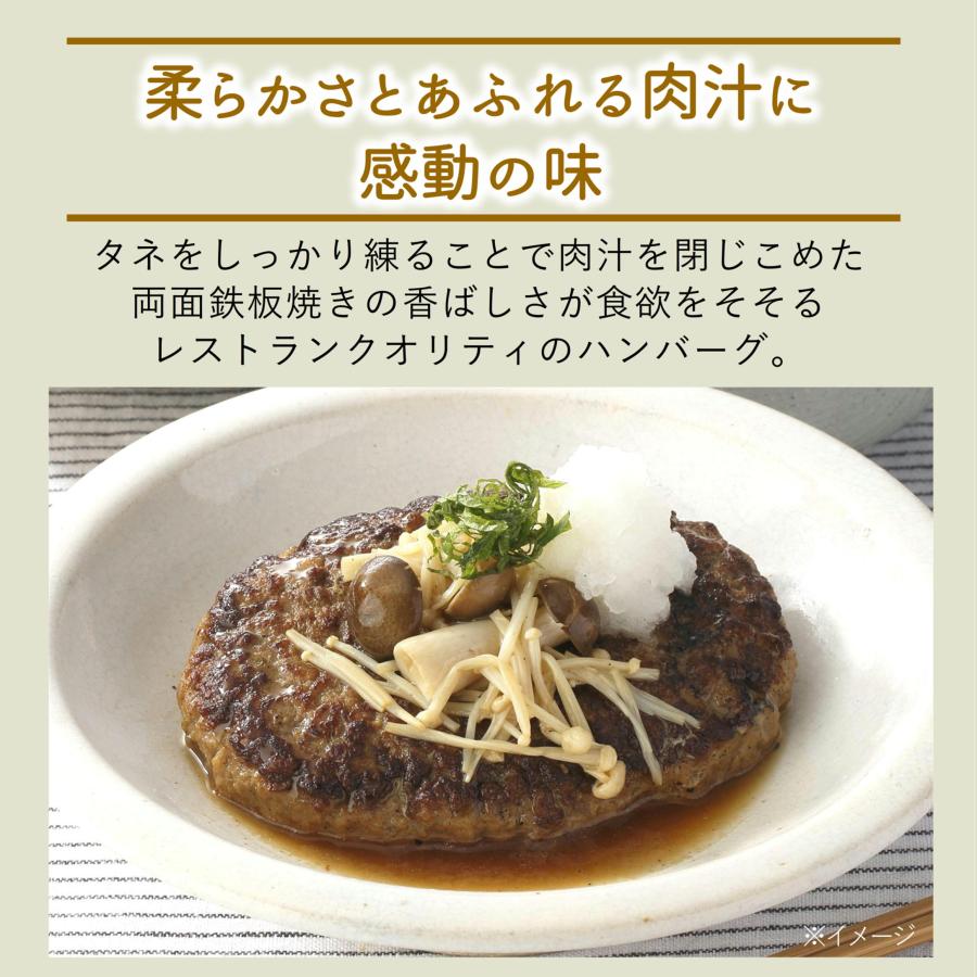 日東ベスト ハンバーグ 冷凍 ハンバーグ ヴィアンド N180 大満足 180g