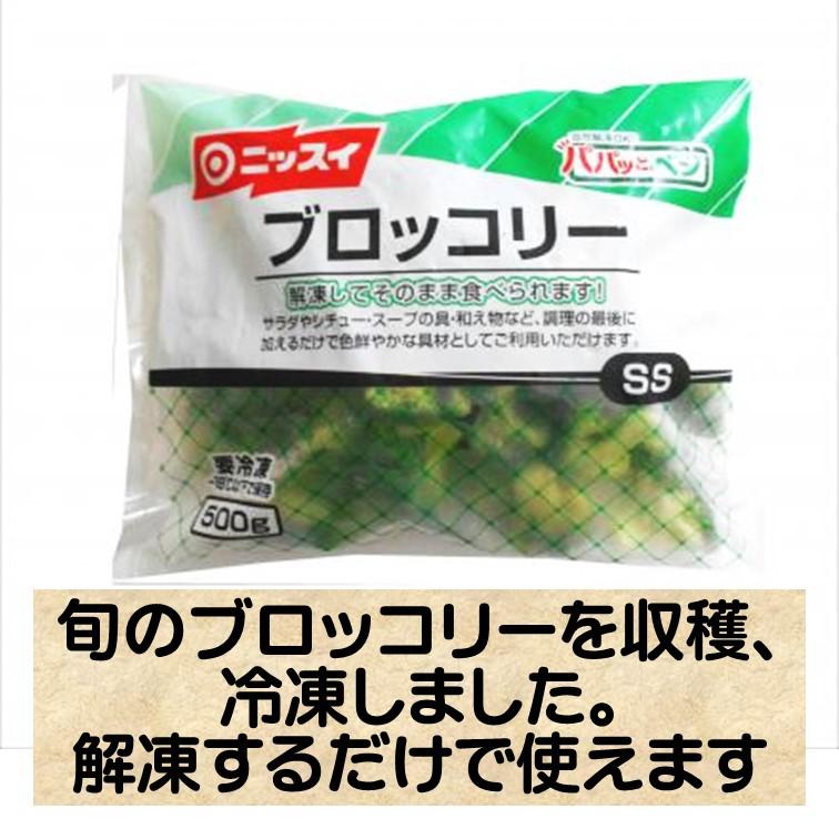 ニッスイ 爆買 ブロッコリー 冷凍 SS 中国産 500g 冷凍食品 ストック 