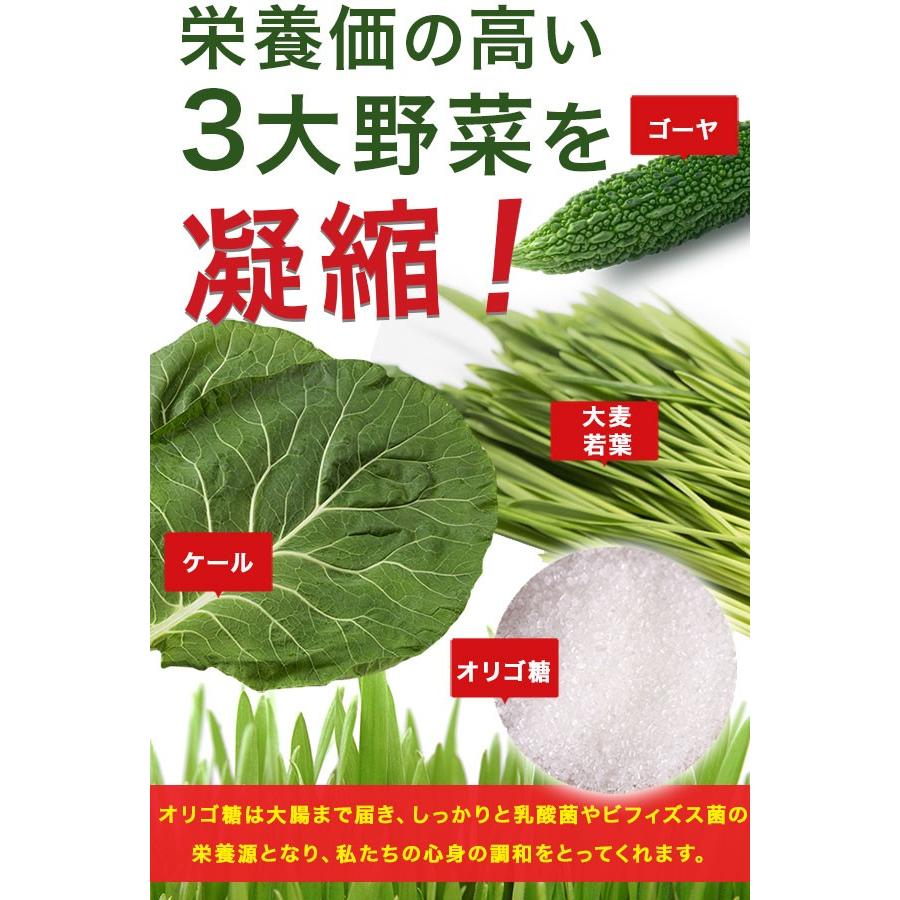 青汁 オリゴ糖 500ポイント消化 まずはお試し おなかにやさしいオリゴ糖入青汁 大麦若葉青汁 大麦若葉 ケール ゴーヤ オリゴ糖 置き換えダイエット ab Fafe 通販 Yahoo ショッピング