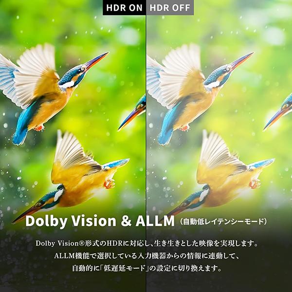 テレビ 42インチ スマートテレビ チューナーレス フルハイビジョン 