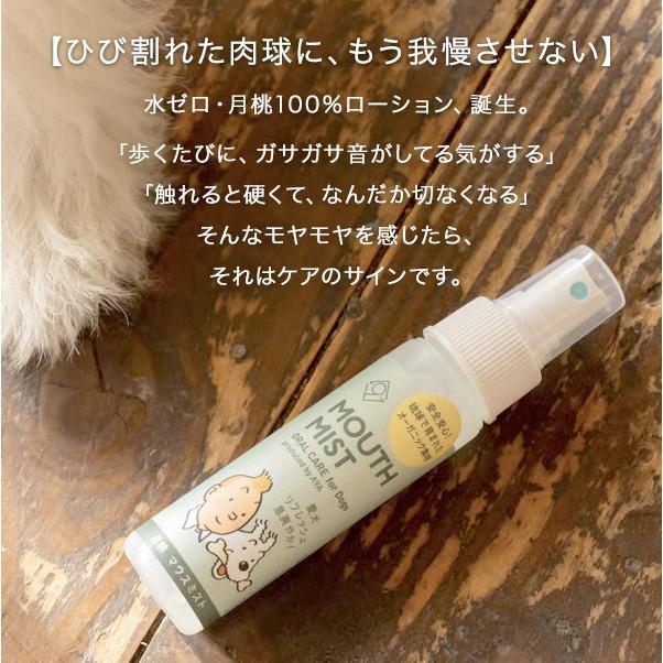 月桃ペット肉球ローション 50ml 無添加 オーガニック 犬用 足裏ケア ひび割れ 保湿 ジェルタイプ 天然成分 安心ケア A9A |  | 01