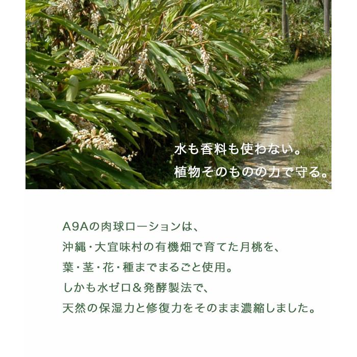 月桃ペット肉球ローション 50ml 無添加 オーガニック 犬用 足裏ケア ひび割れ 保湿 ジェルタイプ 天然成分 安心ケア A9A |  | 02