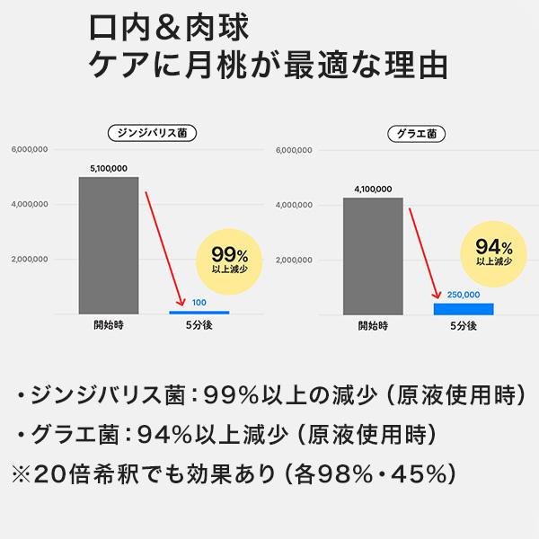 月桃ペット肉球ローション 50ml 無添加 オーガニック 犬用 足裏ケア ひび割れ 保湿 ジェルタイプ 天然成分 安心ケア A9A |  | 05
