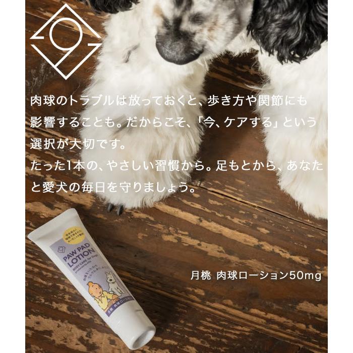 月桃ペット肉球ローション 50ml 無添加 オーガニック 犬用 足裏ケア ひび割れ 保湿 ジェルタイプ 天然成分 安心ケア A9A |  | 09