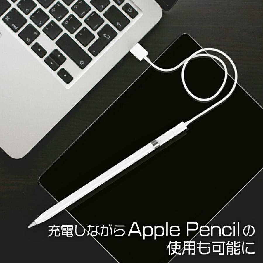 Apple Pencil 充電 変換アダプタ アップルペンシル 変換 USB USB
