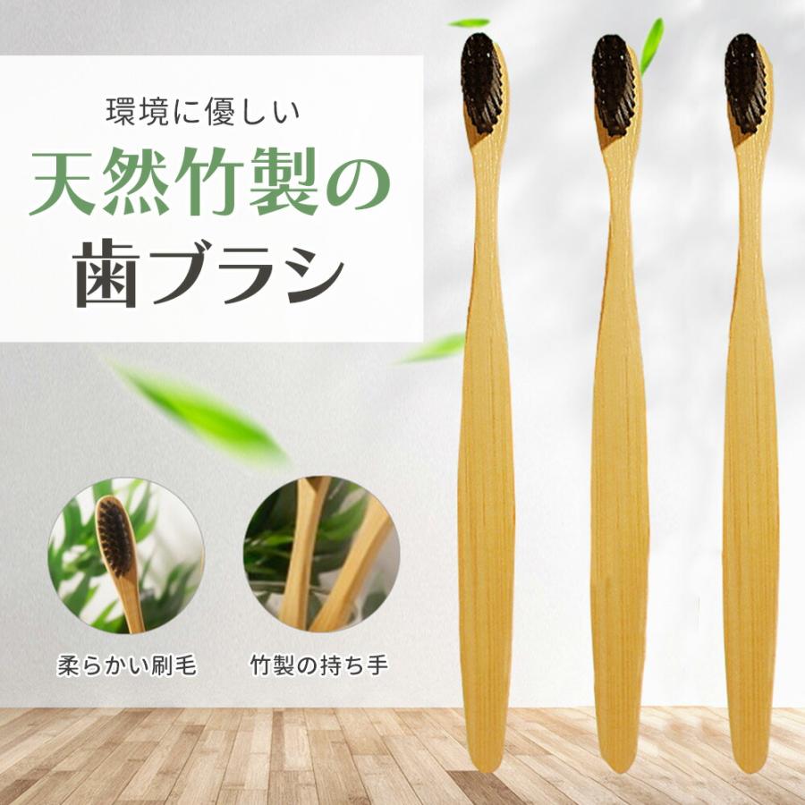 竹製 歯ブラシ ( 色：ランダム 10本セット) 竹製歯 竹歯ブラシ