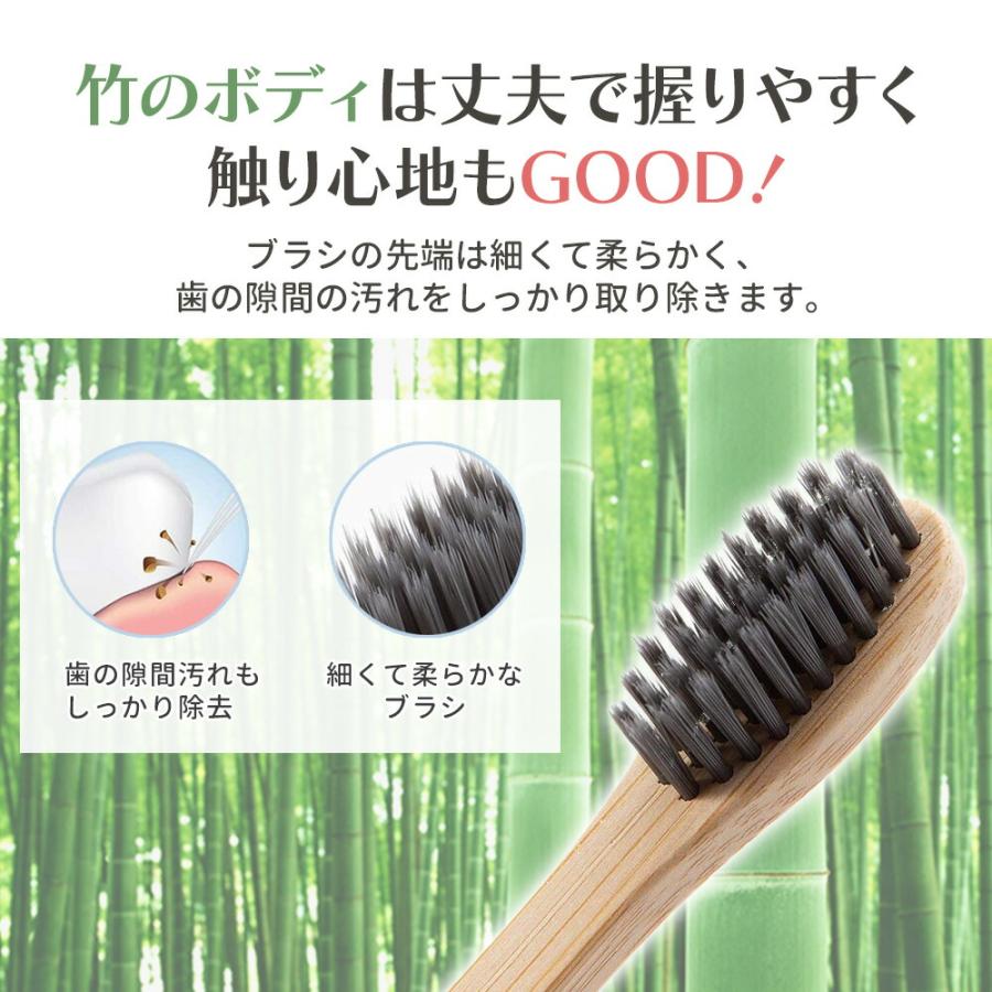 竹製 歯ブラシ ( 色：ランダム 10本セット) 竹製歯 竹歯ブラシ