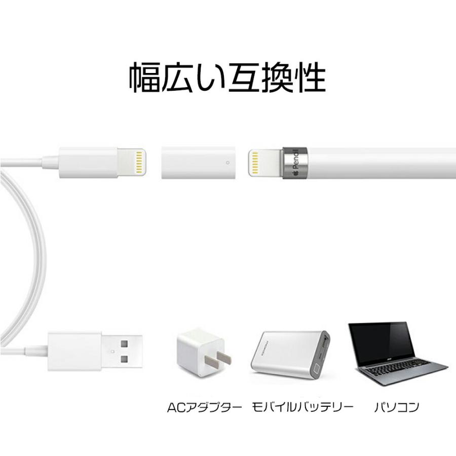 Apple Pencil (第2世代) 充電ケーブル・アダプタ付き Apple Pencil 充電 変換アダプタ アップルペンシル 変換 USB USB