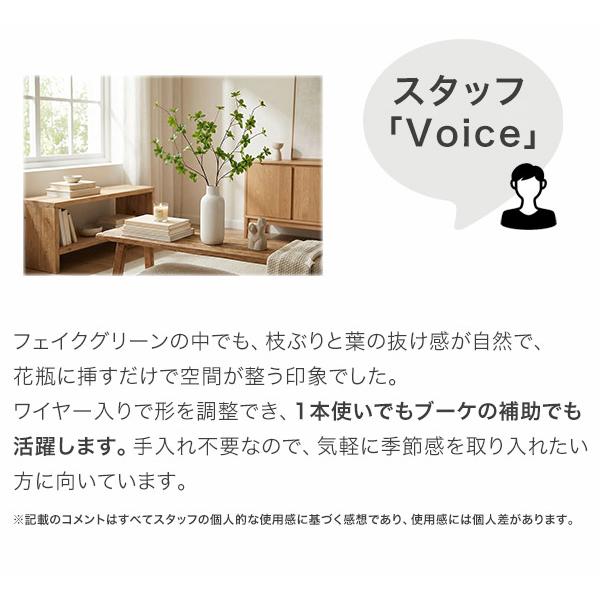 ドウダンツツジ 3本セット 観葉植物 フェイクグリーン インテリア 花材 グリーン 単品花材 造花 水やり不要 人工 アレンジ 室内 屋外 人工観葉植物 アートフラワ |  | 06