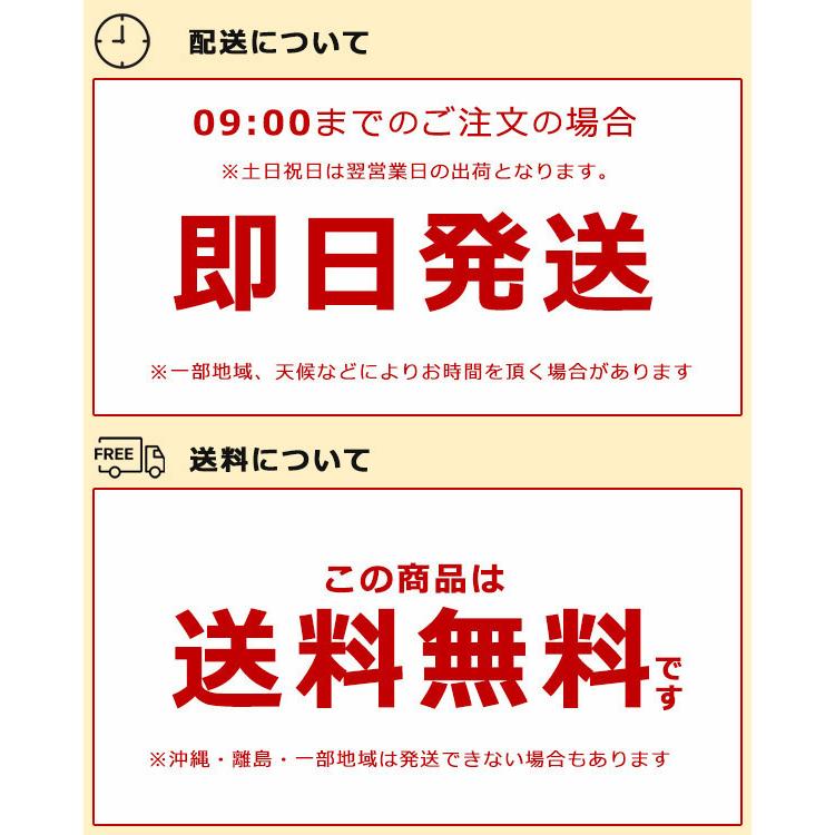 ドウダンツツジ 3本セット 観葉植物 フェイクグリーン インテリア 花材 グリーン 単品花材 造花 水やり不要 人工 アレンジ 室内 屋外 人工観葉植物 アートフラワ |  | 07