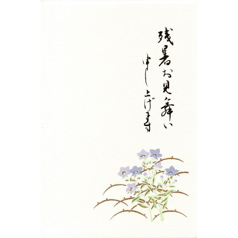 はがき 残暑見舞い お中元 御礼状 【花うたげ ききょう 定型文つき