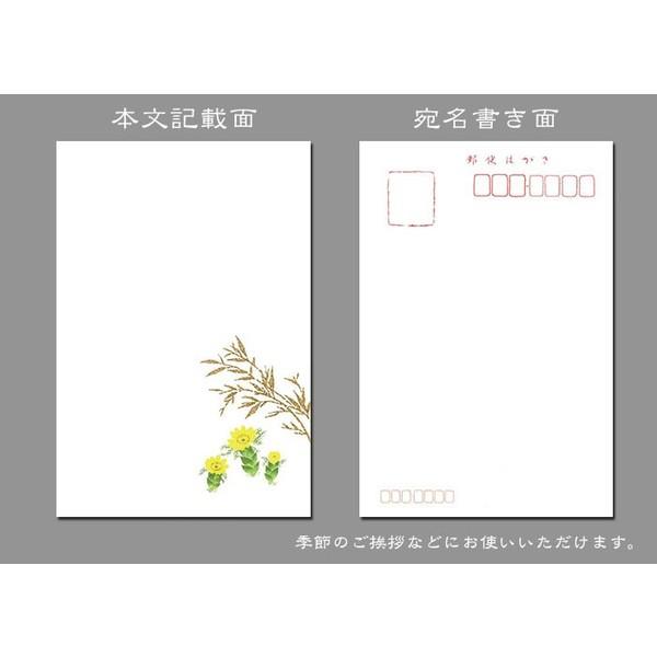 年賀状 寒中見舞い 御礼状 はがき 和紙 和風 冬 ハガキ イラスト 無料 福井朝日堂和風