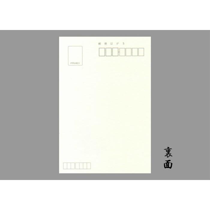 喪中 はがき 寒中見舞い 葉書 年末 年始 ハガキ 和紙 和風 冬 イラスト 無料 年賀欠礼 年賀状 御礼 挨拶状 Fps 603 水仙 すいせん 福井朝日堂 Fps 603 F A Greetings 通販 Yahoo ショッピング